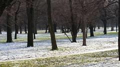 82-Vienna,27 dicembre 2014